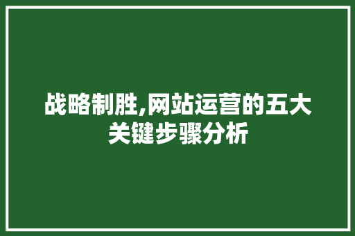战略制胜,网站运营的五大关键步骤分析 战略制胜,网站运营的五大关键步骤分析 必应SEO