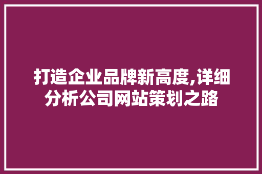 打造企业品牌新高度,详细分析公司网站策划之路
