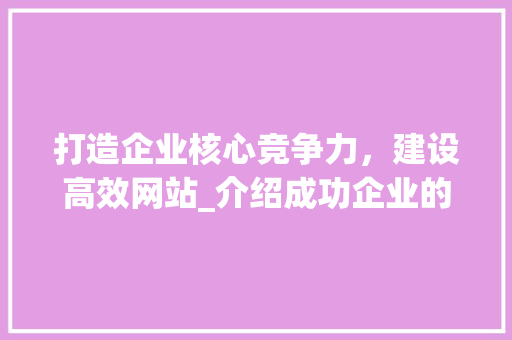 打造企业核心竞争力，建设高效网站_介绍成功企业的网站建设之路 打造企业核心竞争力，建设高效网站_介绍成功企业的网站建设之路 神马SEO