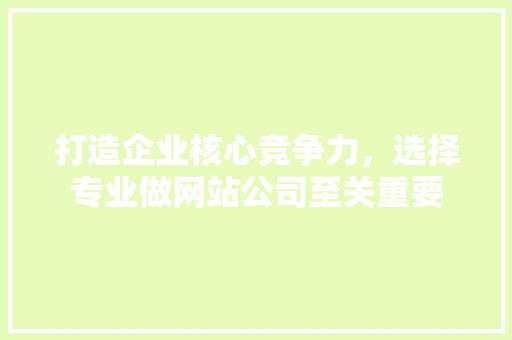 打造企业核心竞争力，选择专业做网站公司至关重要 打造企业核心竞争力，选择专业做网站公司至关重要 网站建设公司