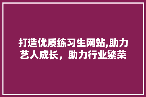 打造优质练习生网站,助力艺人成长，助力行业繁荣 SEO关键词