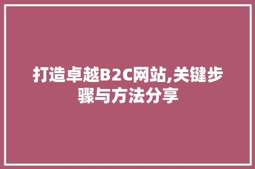 打造卓越B2C网站,关键步骤与方法分享 打造卓越B2C网站,关键步骤与方法分享 网站建设公司