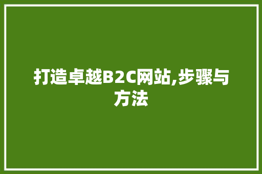 打造卓越B2C网站,步骤与方法 打造卓越B2C网站,步骤与方法 网站建设公司