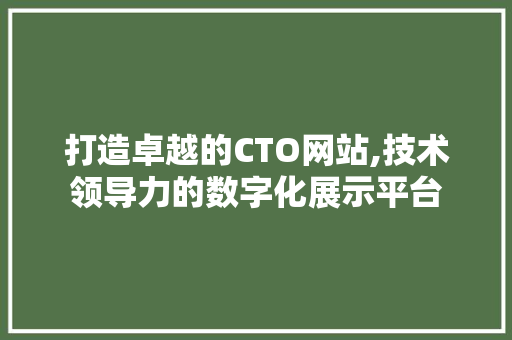 打造卓越的CTO网站,技术领导力的数字化展示平台