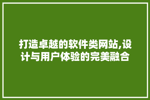 打造卓越的软件类网站,设计与用户体验的完美融合 打造卓越的软件类网站,设计与用户体验的完美融合 必应SEO