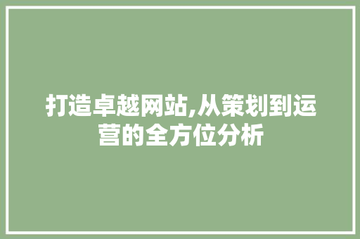 打造卓越网站,从策划到运营的全方位分析 打造卓越网站,从策划到运营的全方位分析 搜狗SEO
