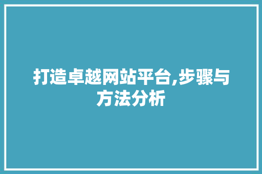 打造卓越网站平台,步骤与方法分析 打造卓越网站平台,步骤与方法分析 必应SEO