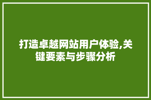 打造卓越网站用户体验,关键要素与步骤分析 打造卓越网站用户体验,关键要素与步骤分析 SEO关键词