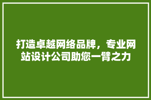 打造卓越网络品牌，专业网站设计公司助您一臂之力 打造卓越网络品牌，专业网站设计公司助您一臂之力 网站建设公司