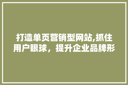 打造单页营销型网站,抓住用户眼球，提升企业品牌形象 打造单页营销型网站,抓住用户眼球，提升企业品牌形象 神马SEO