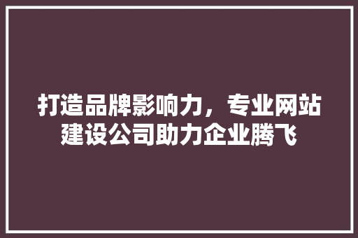 打造品牌影响力，专业网站建设公司助力企业腾飞 打造品牌影响力，专业网站建设公司助力企业腾飞 网站建设公司