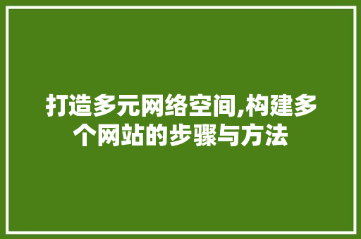 打造多元网络空间,构建多个网站的步骤与方法 打造多元网络空间,构建多个网站的步骤与方法 神马SEO