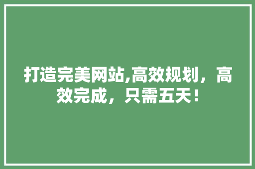 打造完美网站,高效规划，高效完成，只需五天！ 打造完美网站,高效规划，高效完成，只需五天！ 神马SEO