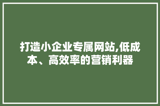打造小企业专属网站,低成本、高效率的营销利器 打造小企业专属网站,低成本、高效率的营销利器 网站建设公司
