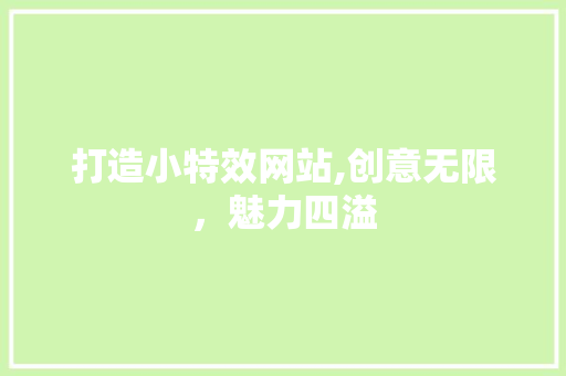 打造小特效网站,创意无限，魅力四溢