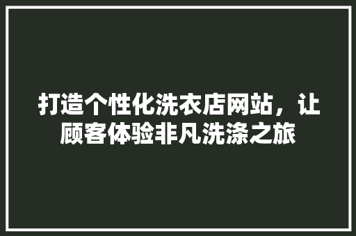 打造个性化洗衣店网站，让顾客体验非凡洗涤之旅 打造个性化洗衣店网站，让顾客体验非凡洗涤之旅 必应SEO