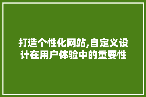 打造个性化网站,自定义设计在用户体验中的重要性 打造个性化网站,自定义设计在用户体验中的重要性 必应SEO