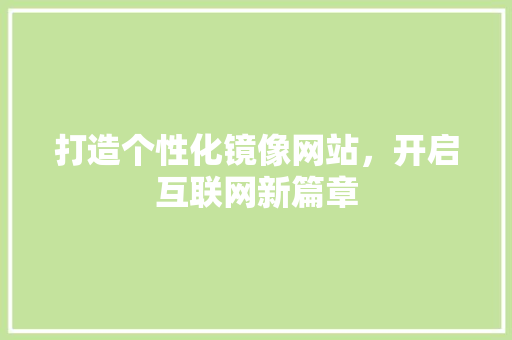 打造个性化镜像网站，开启互联网新篇章 网站建设公司