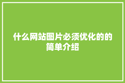 什么网站图片必须优化的的简单介绍 什么网站图片必须优化的的简单介绍 神马SEO