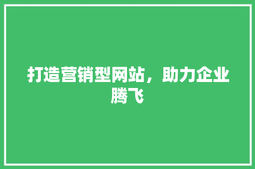 打造营销型网站，助力企业腾飞 打造营销型网站，助力企业腾飞 网站建设公司