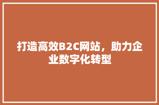 打造高效B2C网站，助力企业数字化转型 打造高效B2C网站，助力企业数字化转型 搜狗SEO