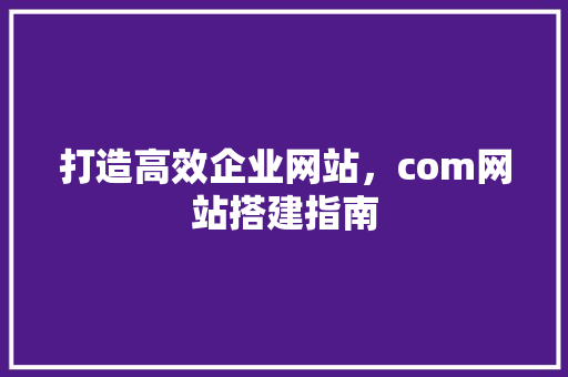 打造高效企业网站，com网站搭建指南 打造高效企业网站，com网站搭建指南 网站建设公司