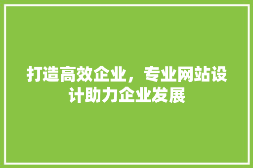 打造高效企业，专业网站设计助力企业发展 打造高效企业，专业网站设计助力企业发展 网站建设公司