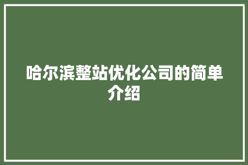 哈尔滨整站优化公司的简单介绍 哈尔滨整站优化公司的简单介绍 网站建设公司