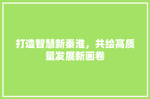 打造智慧新秦淮，共绘高质量发展新画卷 打造智慧新秦淮，共绘高质量发展新画卷 必应SEO
