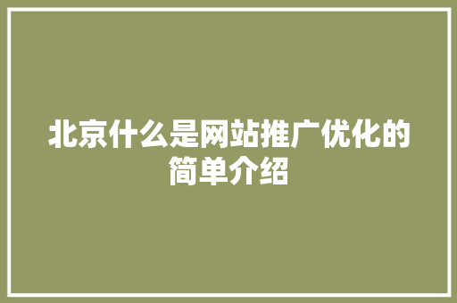 北京什么是网站推广优化的简单介绍 北京什么是网站推广优化的简单介绍 网站建设公司