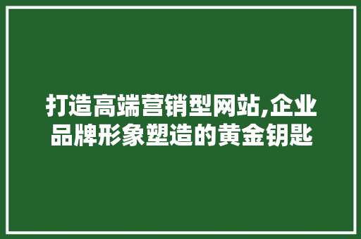 打造高端营销型网站,企业品牌形象塑造的黄金钥匙
