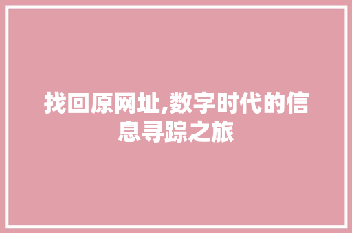 找回原网址,数字时代的信息寻踪之旅 SEO关键词 找回原网址,数字时代的信息寻踪之旅 找回原网址,数字时代的信息寻踪之旅 SEO关键词