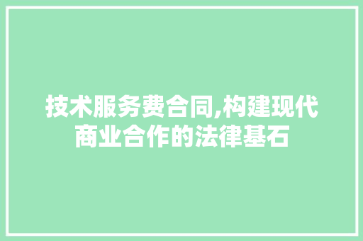 技术服务费合同,构建现代商业合作的法律基石 技术服务费合同,构建现代商业合作的法律基石 必应SEO