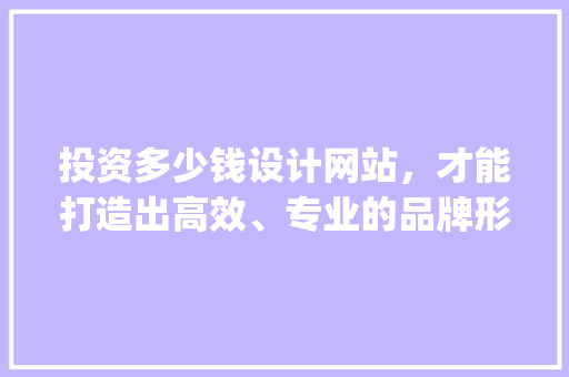 投资多少钱设计网站，才能打造出高效、专业的品牌形象_详细分析网站建设预算 投资多少钱设计网站，才能打造出高效、专业的品牌形象_详细分析网站建设预算 网站建设公司