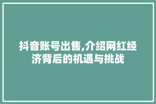 抖音账号出售,介绍网红经济背后的机遇与挑战