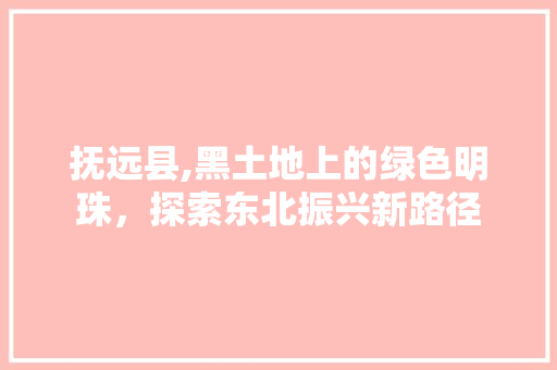 抚远县,黑土地上的绿色明珠，探索东北振兴新路径 抚远县,黑土地上的绿色明珠，探索东北振兴新路径 网站建设公司