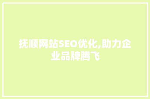 抚顺网站SEO优化,助力企业品牌腾飞
