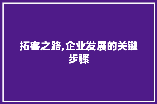 拓客之路,企业发展的关键步骤 拓客之路,企业发展的关键步骤 百度SEO
