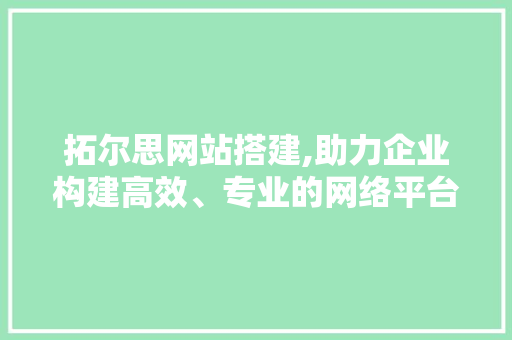 拓尔思网站搭建,助力企业构建高效、专业的网络平台 拓尔思网站搭建,助力企业构建高效、专业的网络平台 百度SEO