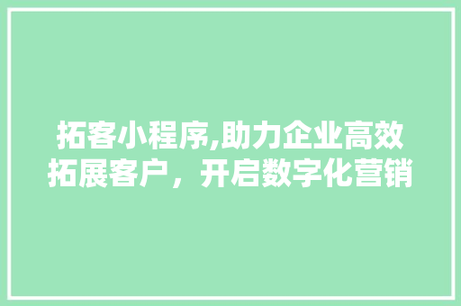 拓客小程序,助力企业高效拓展客户，开启数字化营销新篇章 拓客小程序,助力企业高效拓展客户，开启数字化营销新篇章 SEO关键词
