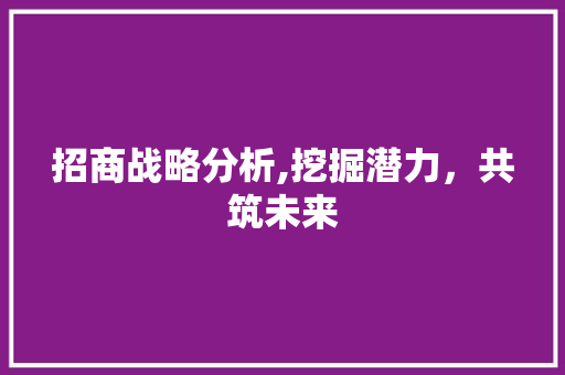 招商战略分析,挖掘潜力，共筑未来 招商战略分析,挖掘潜力，共筑未来 网站建设公司