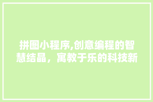 拼图小程序,创意编程的智慧结晶，寓教于乐的科技新宠