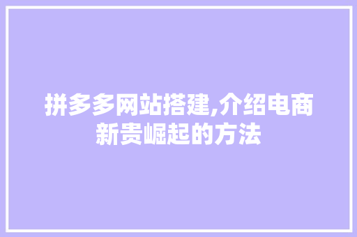 拼多多网站搭建,介绍电商新贵崛起的方法