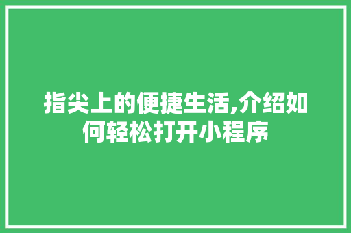 指尖上的便捷生活,介绍如何轻松打开小程序