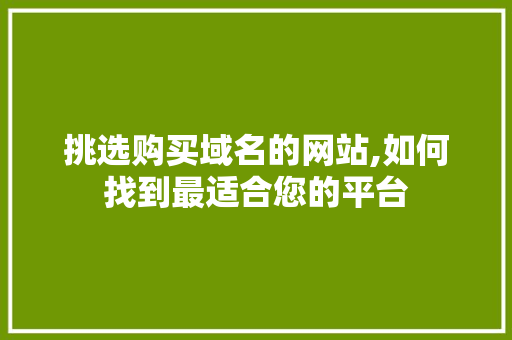 挑选购买域名的网站,如何找到最适合您的平台 挑选购买域名的网站,如何找到最适合您的平台 SEO关键词