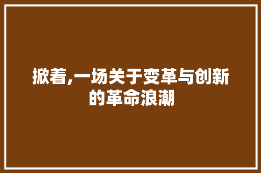 掀着,一场关于变革与创新的革命浪潮