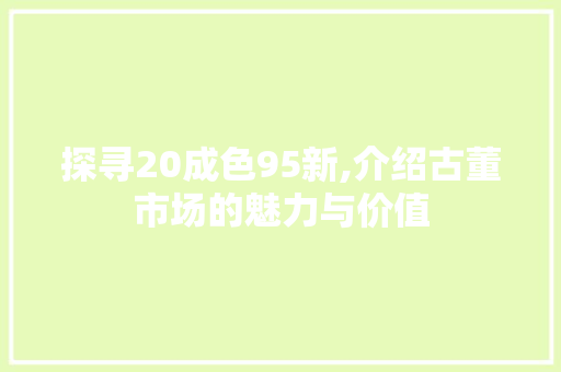 探寻20成色95新,介绍古董市场的魅力与价值