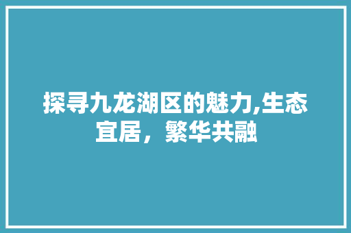 探寻九龙湖区的魅力,生态宜居，繁华共融 探寻九龙湖区的魅力,生态宜居，繁华共融 网站建设公司