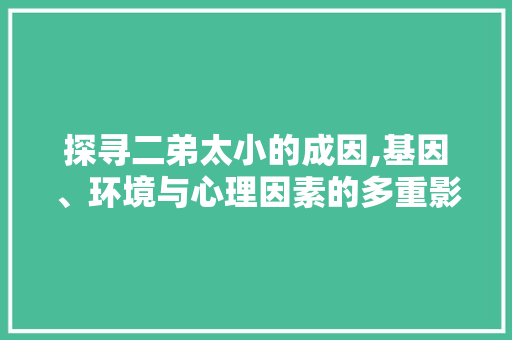 探寻二弟太小的成因,基因、环境与心理因素的多重影响 探寻二弟太小的成因,基因、环境与心理因素的多重影响 神马SEO