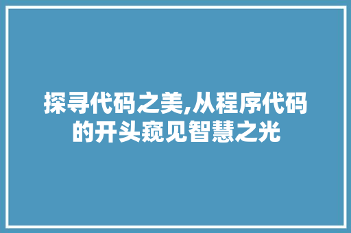 探寻代码之美,从程序代码的开头窥见智慧之光 探寻代码之美,从程序代码的开头窥见智慧之光 神马SEO